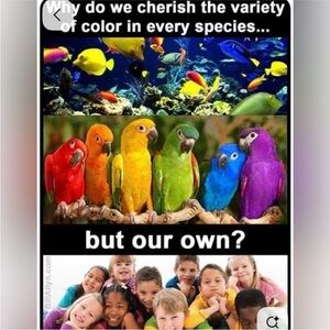 Meet your Posher, Venche